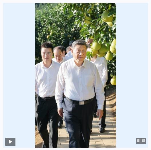 獨家視頻丨總書記關心的“土特產” 捧起鄉村振興的“金飯碗”