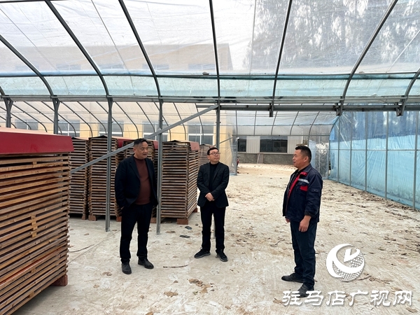 平輿縣射橋鎮(zhèn):持續(xù)優(yōu)化營商環(huán)境 服務企業(yè)做大做強