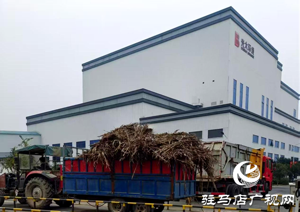 平輿縣萬金店鎮:秋防一線踐初心 秸稈“變寶”惠民生