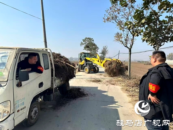 平輿縣萬金店鎮:秋防一線踐初心 秸稈“變寶”惠民生