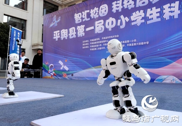 平輿縣第一屆中小學生科技節圓滿落幕