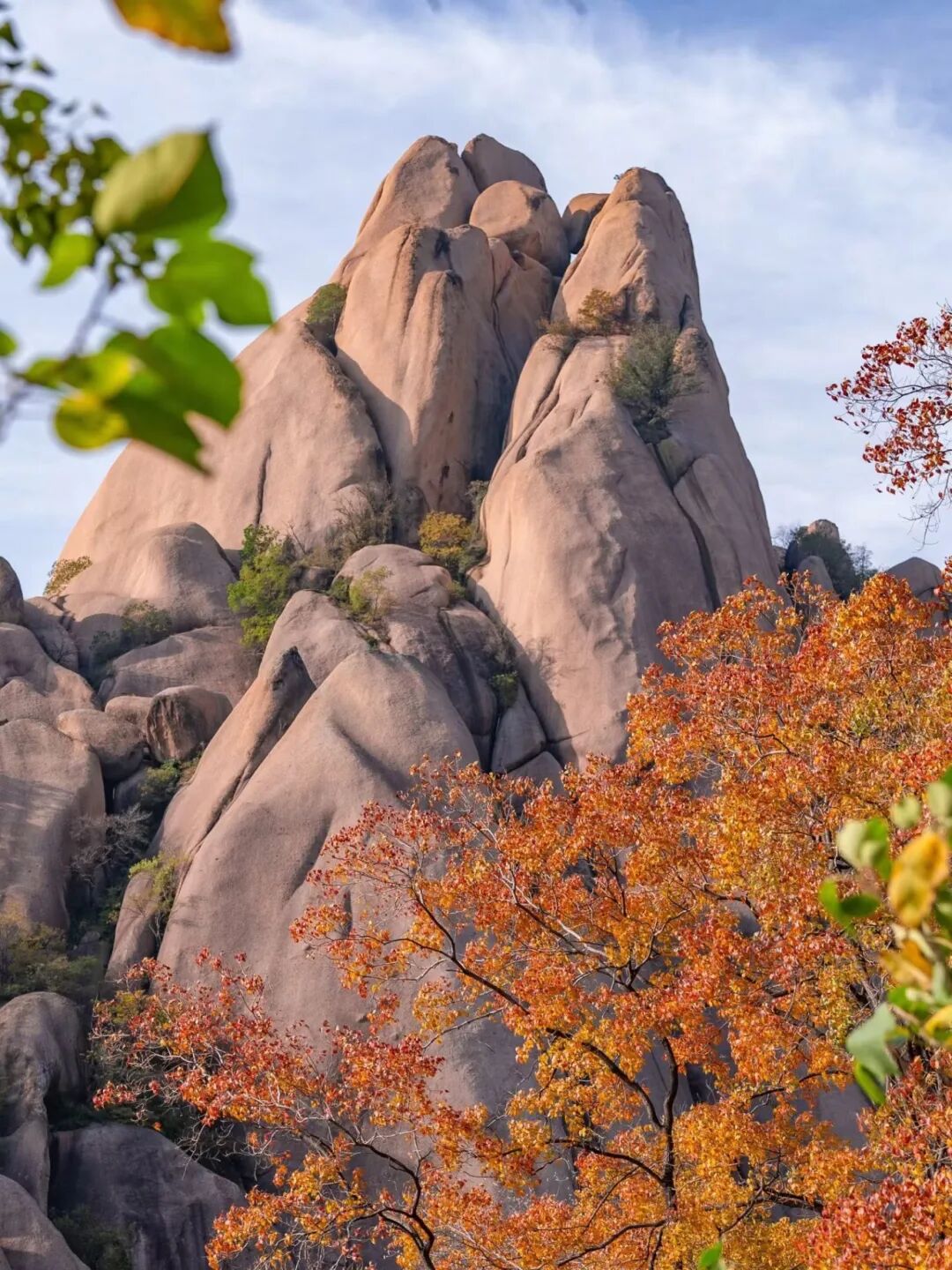 重磅!駐馬店秋日美景強勢上榜微博旅游推薦,這份賞秋指南請收好!