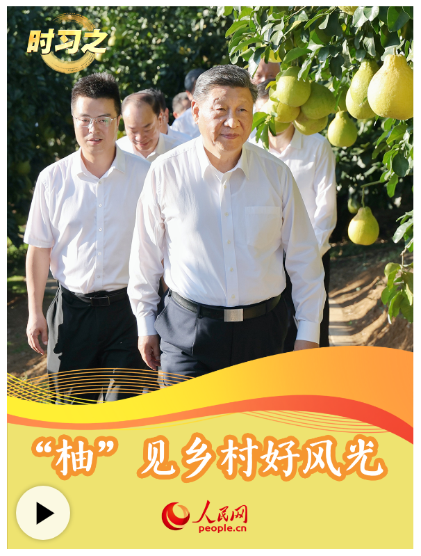 時習之丨“柚”見鄉村好風光