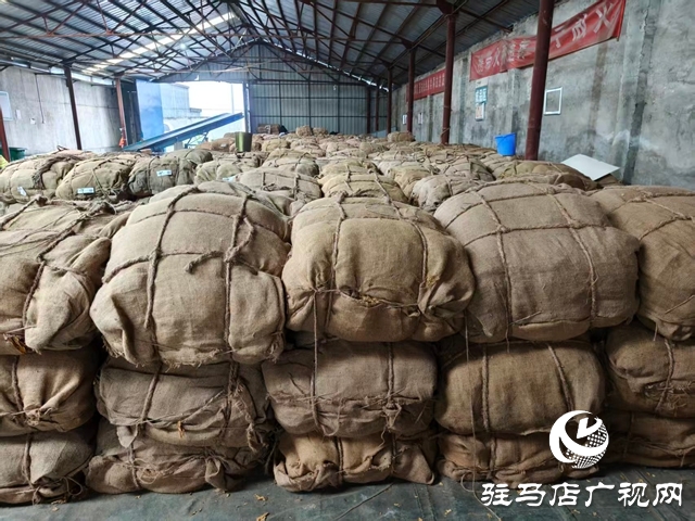 泌陽(yáng)縣郭集鎮(zhèn):圓滿完成2025年煙葉收購(gòu)工作