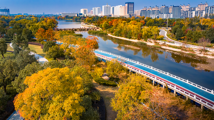 錦繡斑斕醉秋光