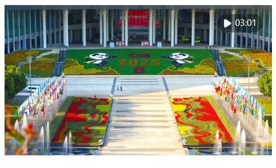 從“東方之約”到“世界機遇”：高水平開放的進博實踐