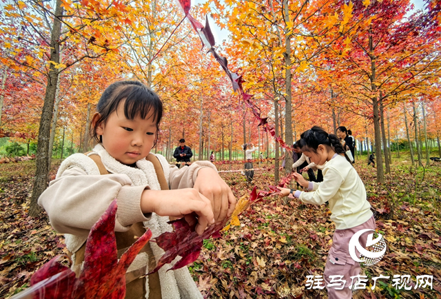 楓林深處歌聲揚 駐馬店“文藝輕騎兵”走進板橋千畝楓香林
