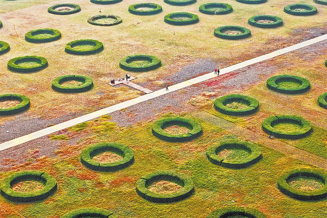 請打開“運(yùn)河秋韻”畫卷！