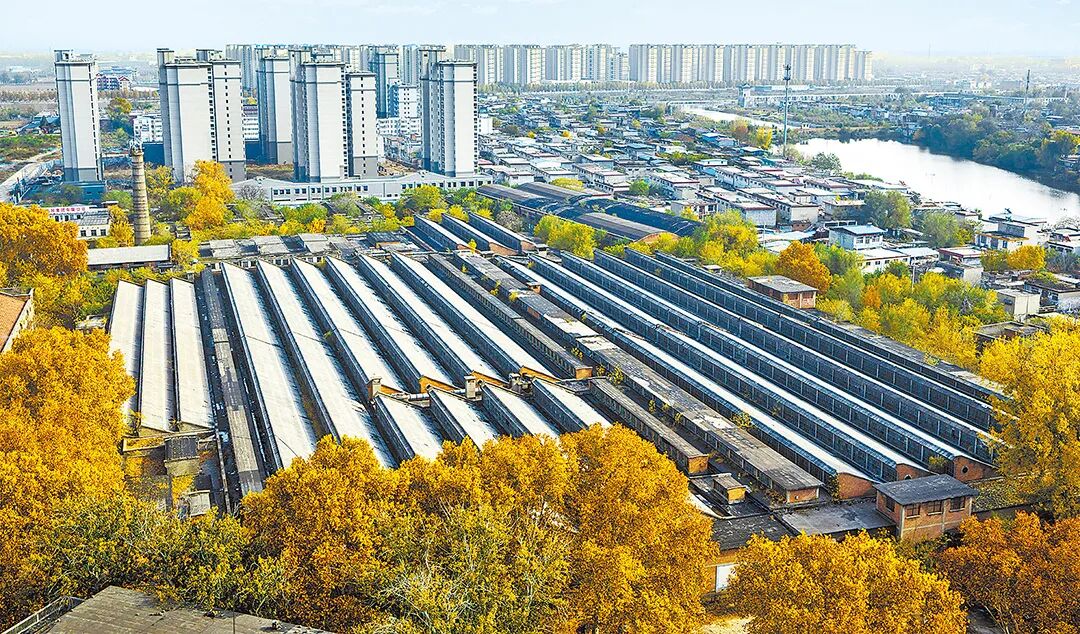 請打開“運(yùn)河秋韻”畫卷！