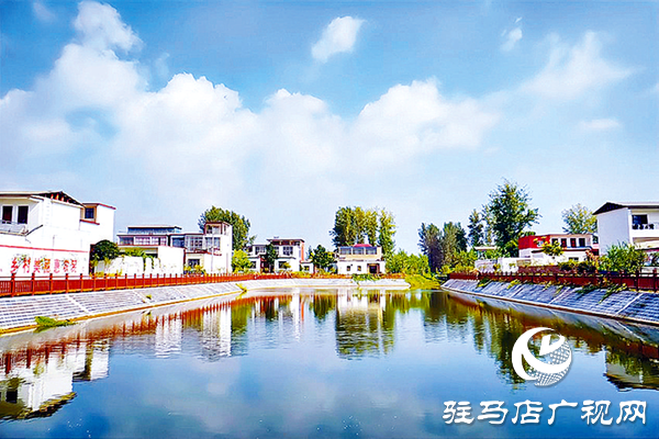 平輿縣:“黨建+”激活基層善治“一池春水”