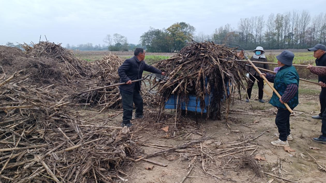 確山縣留莊鎮：秸稈“廢”變“寶” 走出生態增收雙贏路