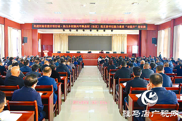 平輿縣:“黨建+”激活基層善治“一池春水”