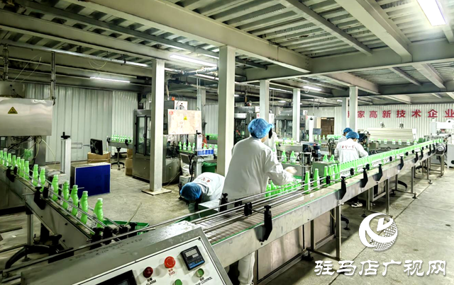 駐馬店市晨鐘生物科技：以現代化治理做強絲瓜產業 繪就鄉村振興“新樣本”