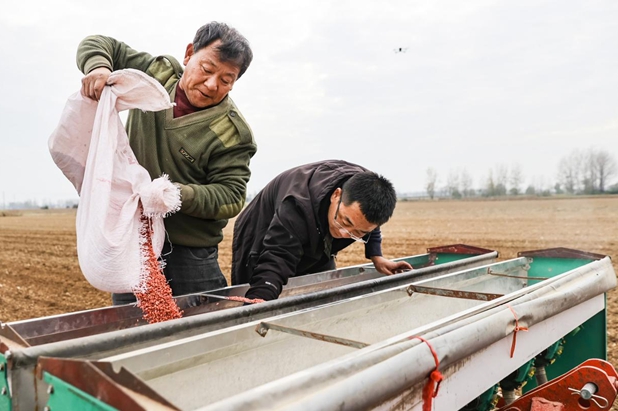 驛城區：精準施策 力保晚播小麥不減產