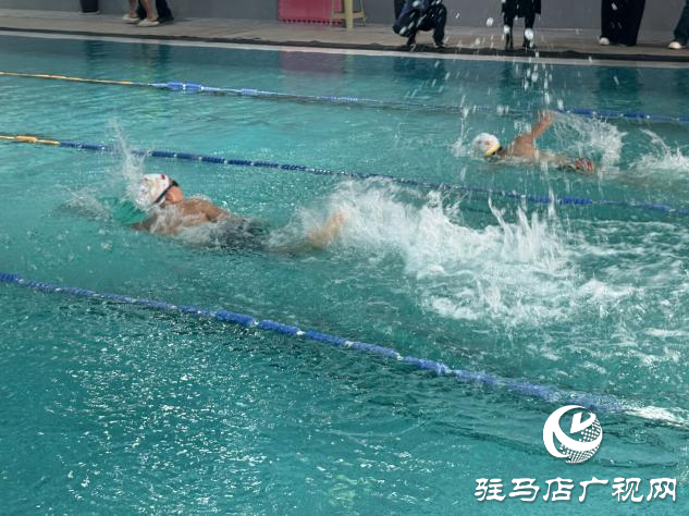 老中青幼同池競技 駐馬店社區游泳賽展全民健身活力