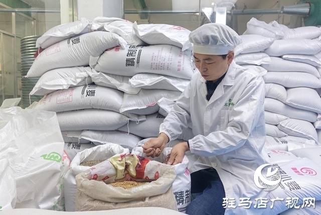 【天中“星”商】石磨轉出新“食”機 匠心鋪就振興路 