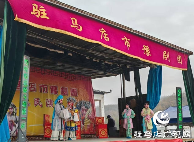 泌陽縣銅山鄉閔莊村：戲暖民心飯暖心 文化醫療雙惠民