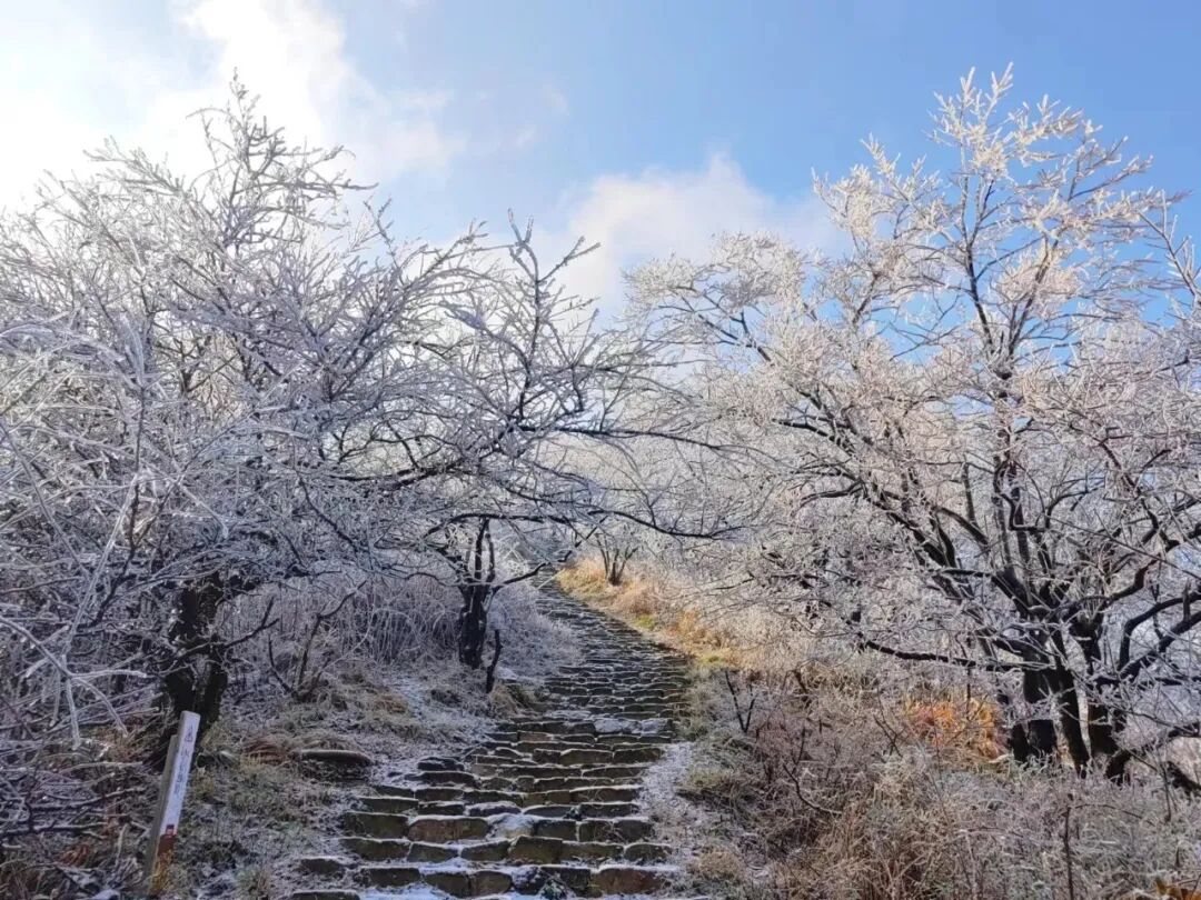 雪落天中！駐馬店初雪刷屏~這些絕美雪景，你都去看過(guò)嗎
