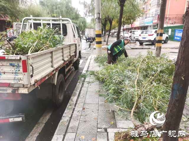  開(kāi)發(fā)區(qū)城市管理事務(wù)中心以“動(dòng)”制凍 清斷枝除隱患保暢通