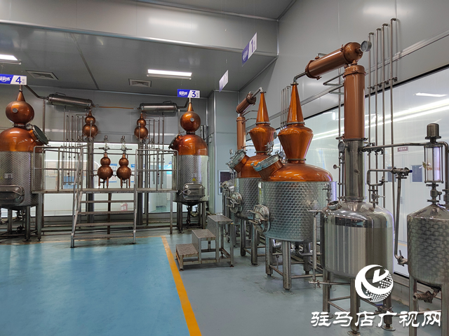 河南杞樂生物科技有限公司:“精準研發+全鏈創新”賦能芳香產業高質量發展