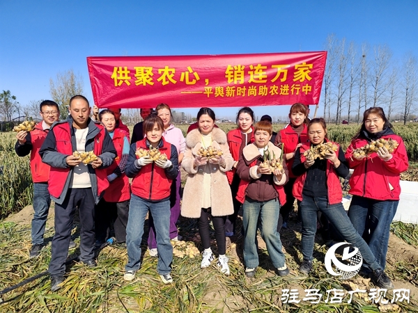 供聚農心 銷連萬家 駐馬店新時尚火龍果超市聯合平輿新時尚超市愛心助農解滯銷難題