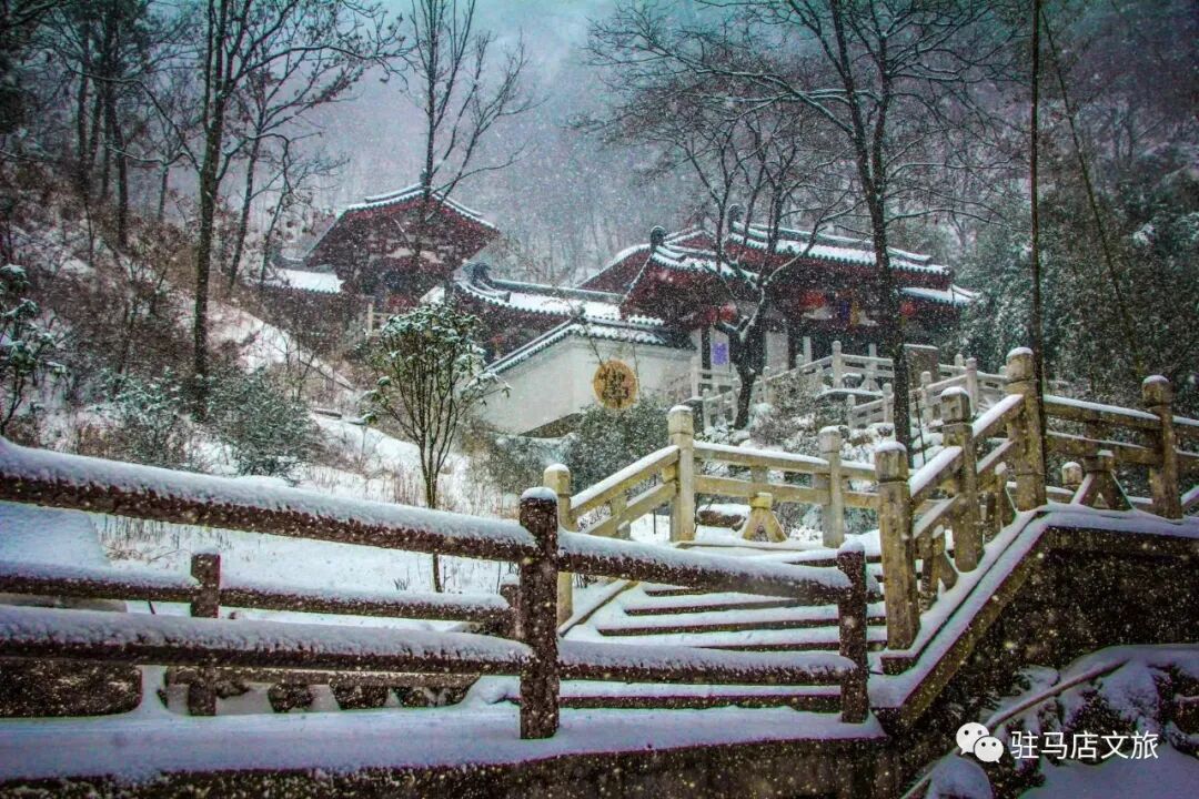 雪落天中！駐馬店初雪刷屏~這些絕美雪景，你都去看過(guò)嗎