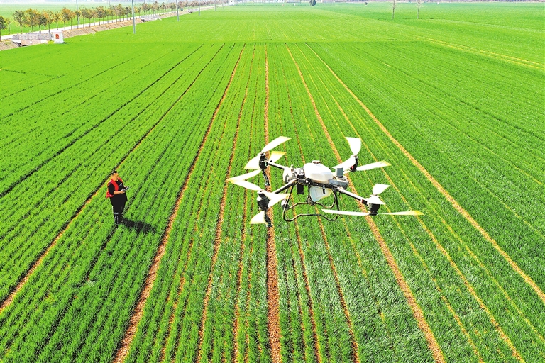 用好冬春農田水利建設黃金期 筑牢“水脈”護“糧倉”