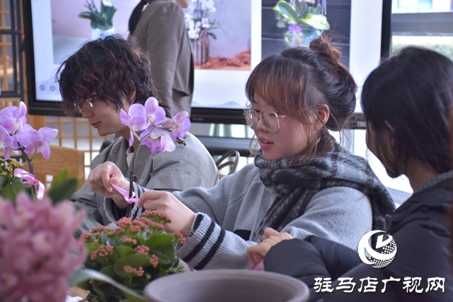 黃淮學院生物與食品工程學院開展蝴蝶蘭組盆體驗活動