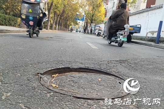 路面坑洼 路燈不亮！駿馬路出行安全隱患盼消除