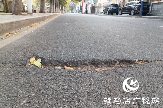 路面坑洼 路燈不亮！駿馬路出行安全隱患盼消除