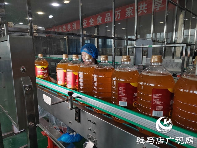 遂平縣:鉚足干勁趕進度 奮力沖刺四季度