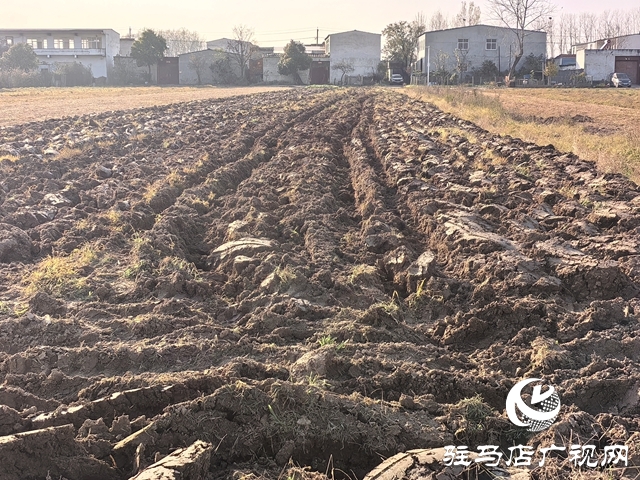 開發區關王廟鄉：搶抓農時 扎實推進冬小麥有序播種