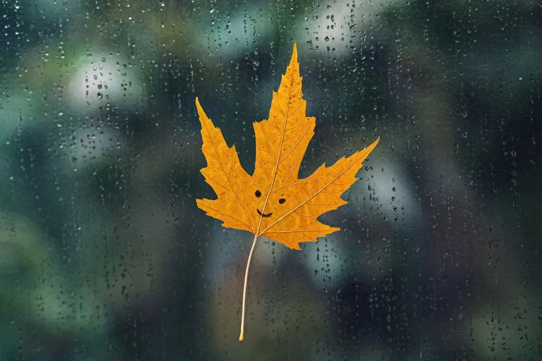 一降溫就傷感?小心“季節性情感障礙”!