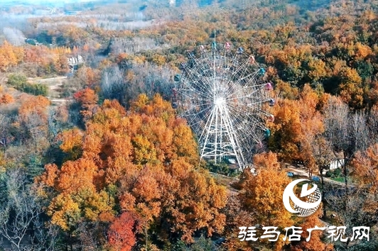 金頂山免門票迎農加會 推動“農業(yè)+旅游”跨界融合