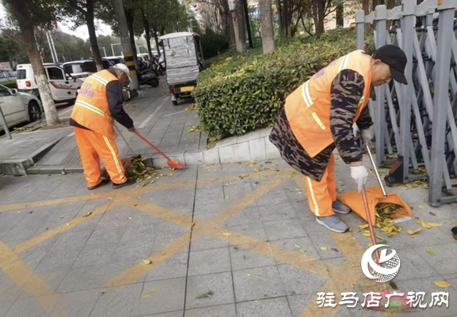 開發區城市管理事務中心積極應對強風天氣 全力保障城市平穩運行