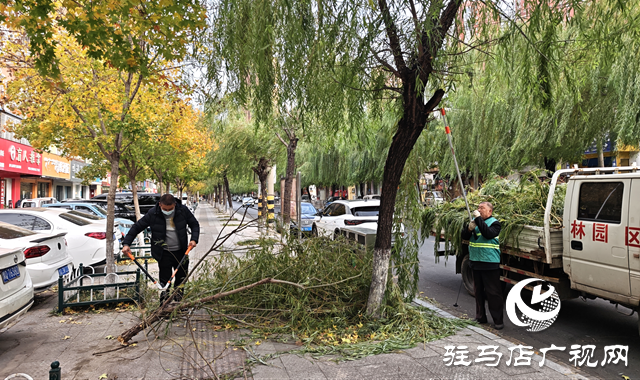 開發區城市管理事務中心積極應對強風天氣 全力保障城市平穩運行