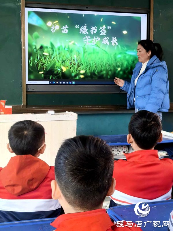 平輿縣古槐第二小學開展護苗綠書簽活動：書香浸潤成長
