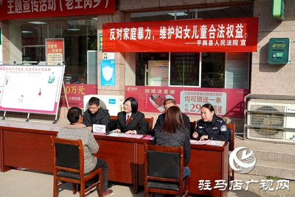 平輿縣人民法院:普法宣傳趕大集 共筑反家暴防線