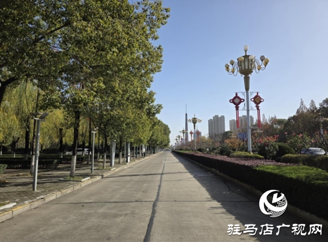 駐馬店：園林精心養護迎盛會 滿城綠意笑納八方客