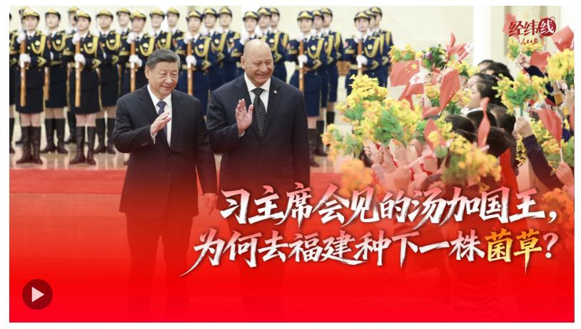 經緯線·習主席會見的湯加國王，為何去福建種下一株菌草？