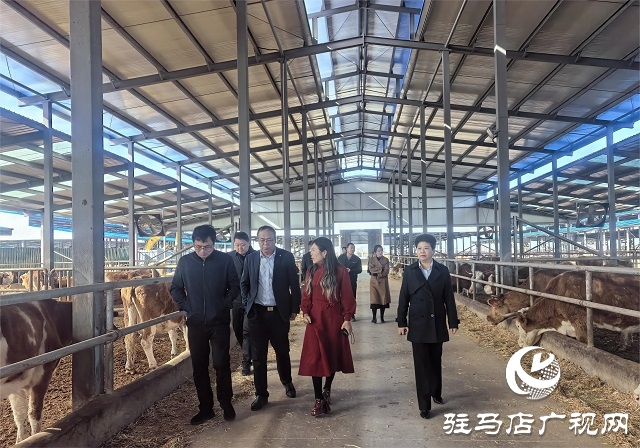 金融助力譜新篇 深耕天中再啟航——工行駐馬店分行“十四五”期間服務(wù)地方經(jīng)濟(jì)社會(huì)發(fā)展綜述