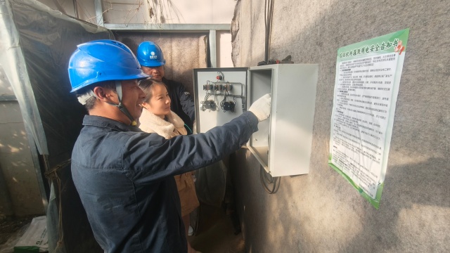 國網新蔡縣供電公司:電力靠前服務守護群眾“菜籃子”