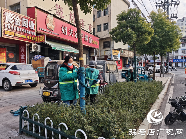  開發區城市管理事務中心給樹木“穿冬裝” 溫暖過冬添景色