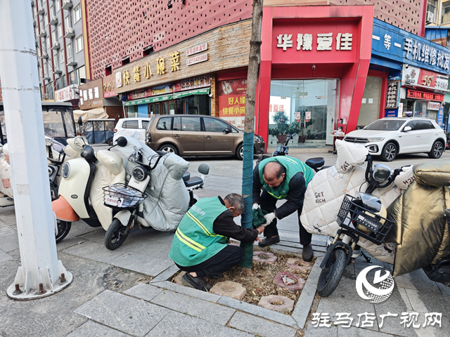  開發區城市管理事務中心給樹木“穿冬裝” 溫暖過冬添景色