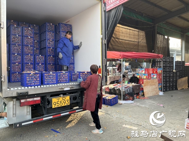 冬令水果扎堆上市 本月中下旬價格有望進一步回落