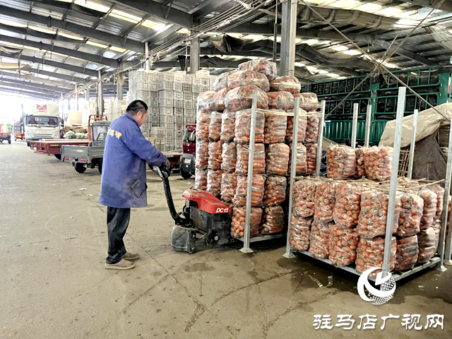 駐馬店市眾信農(nóng)副產(chǎn)品綜合批發(fā)市場:全力應(yīng)對寒潮天氣 保障冬季蔬菜供應(yīng)