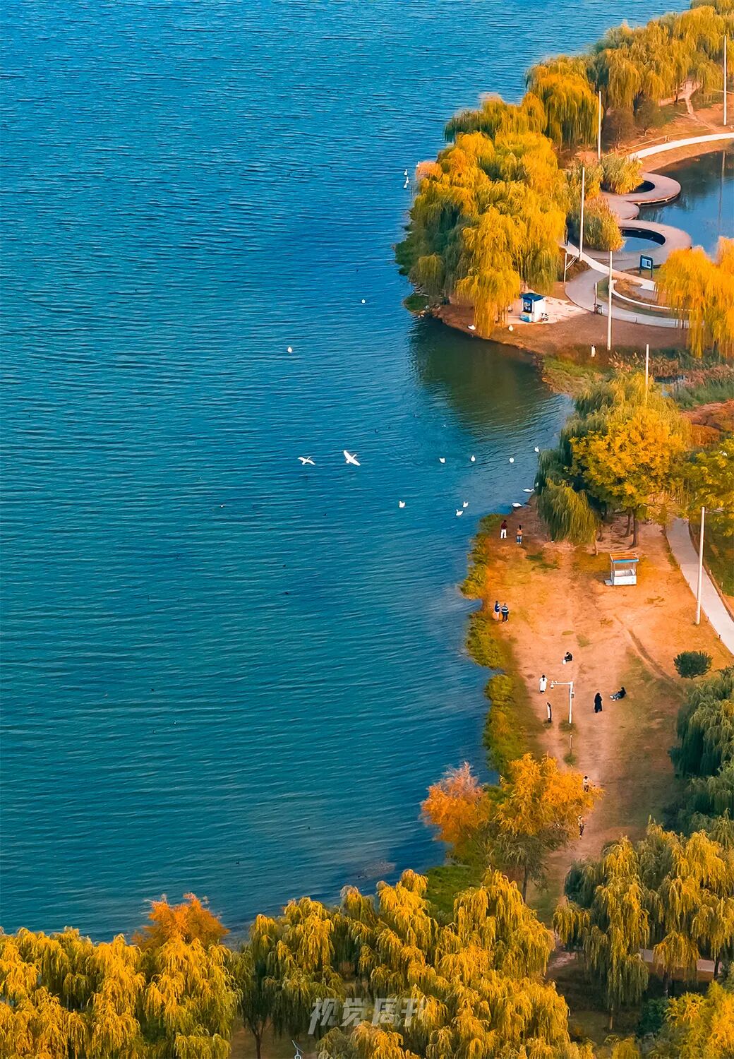 美!河南冬景上新啦