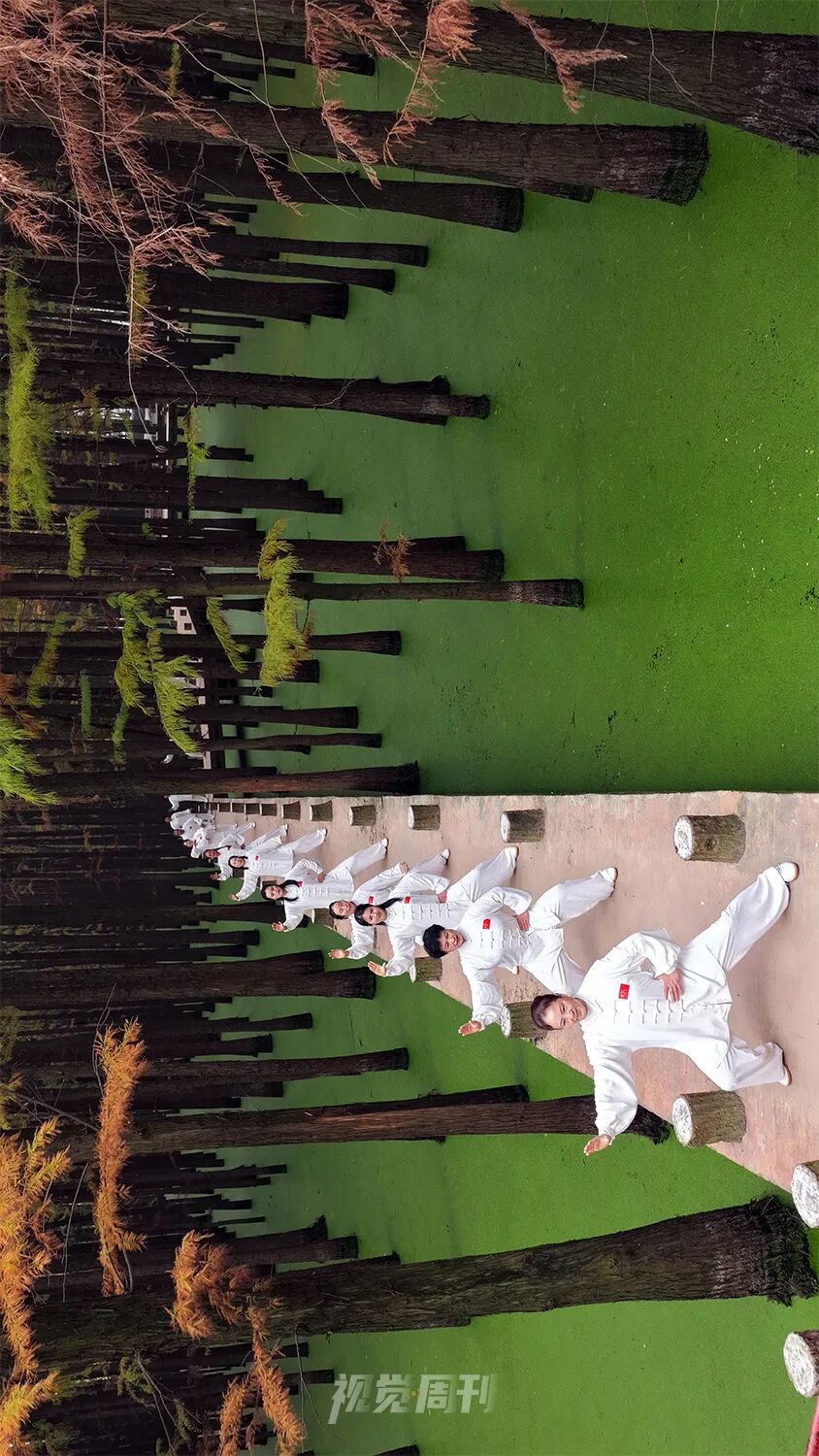 美!河南冬景上新啦