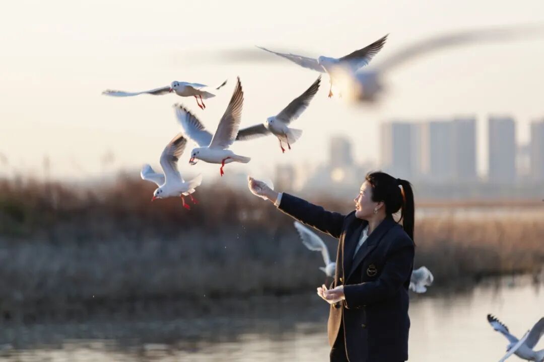 美!河南冬景上新啦