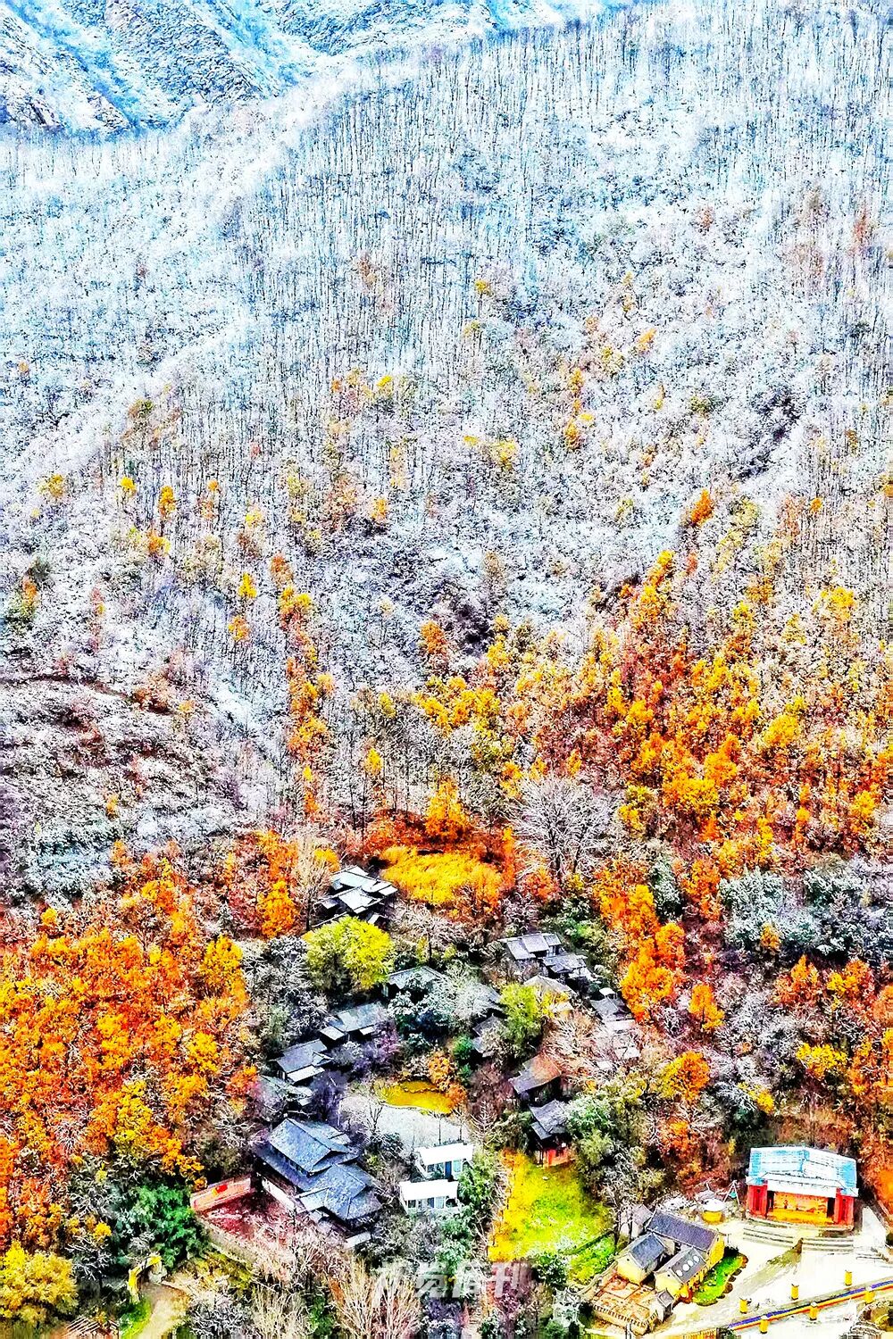 美!河南冬景上新啦